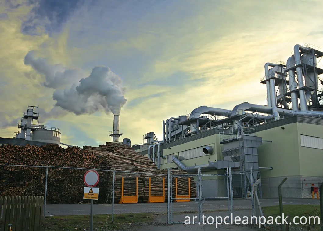 حقيبة تصفية PE ذات التدفق العالي منخفض التدفق على نطاق واسع